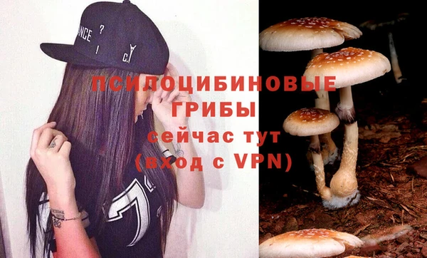 Альфа ПВП Богородицк