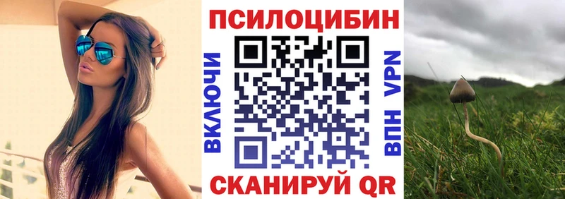 hydra ссылки  как найти закладки  Балтийск  Псилоцибиновые грибы MAGIC MUSHROOMS 